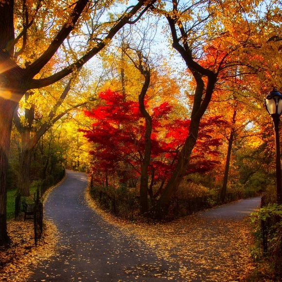 Meet your Posher, Pamela - Picture 1 of 1